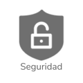 ES Security Icon