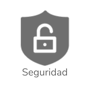 ES Security Icon