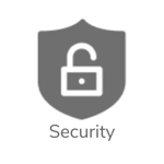 Security icon